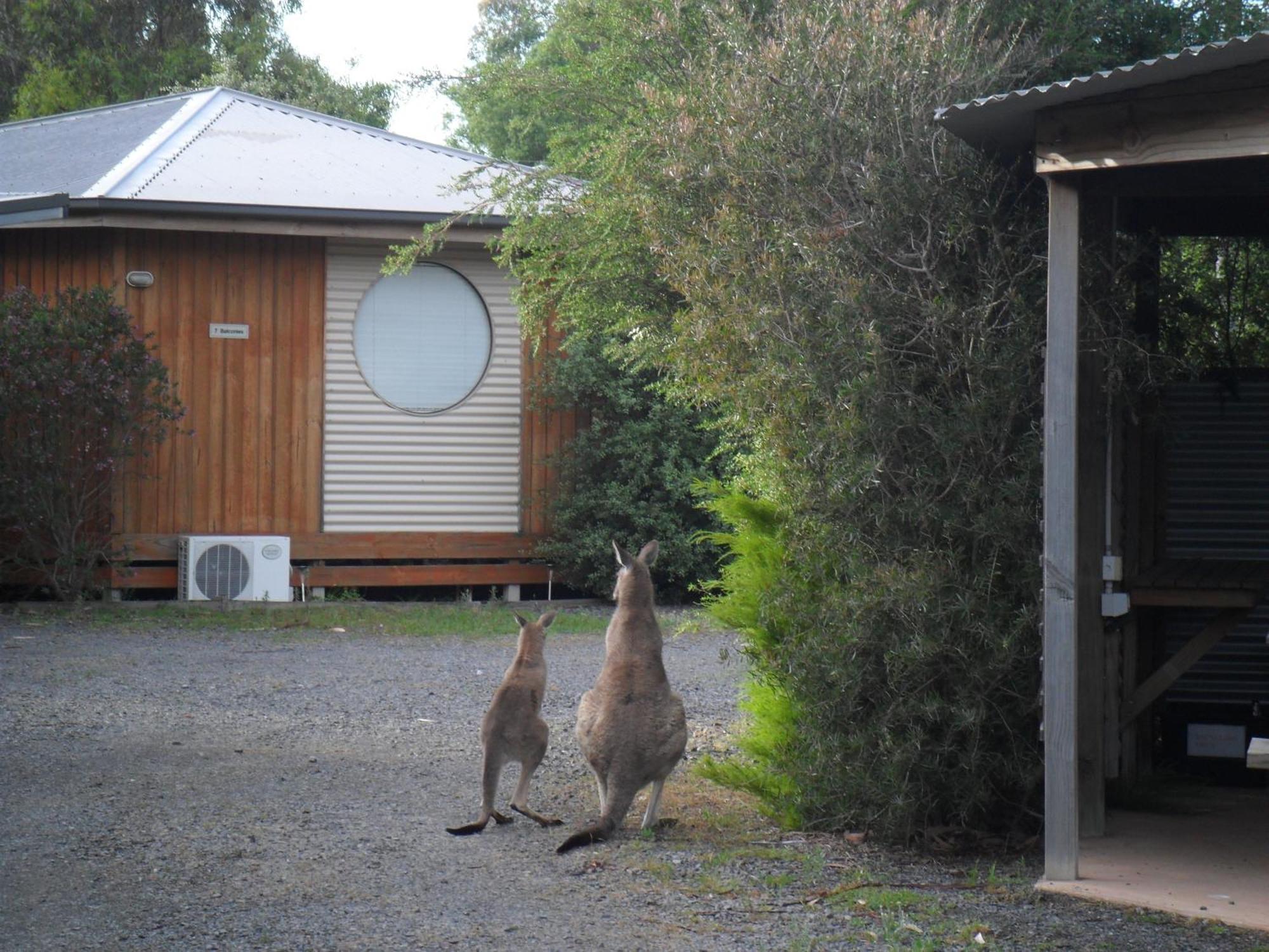 Grampians Chalets Halls Gap Exterior photo